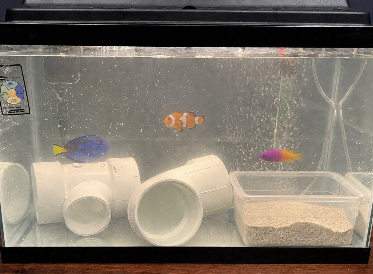 Fish tank with colorful fish and PVC pipes inside