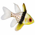 Pajama Cardinalfish