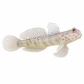 Pink Spotted Watchman Goby