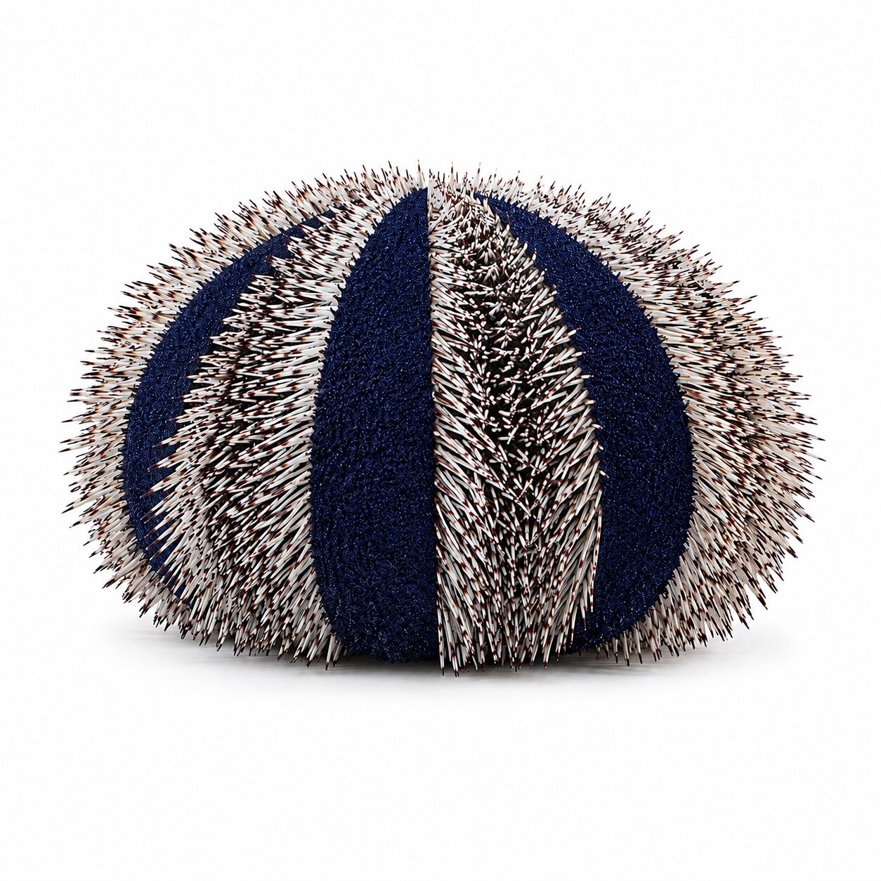 Tuxedo Urchin